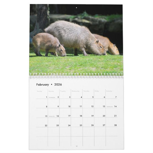 kalender knaagdieren (Feb 2026)