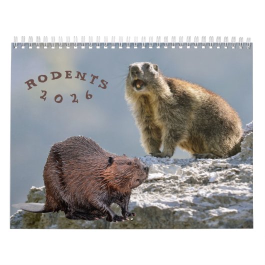 kalender knaagdieren (Hoes)