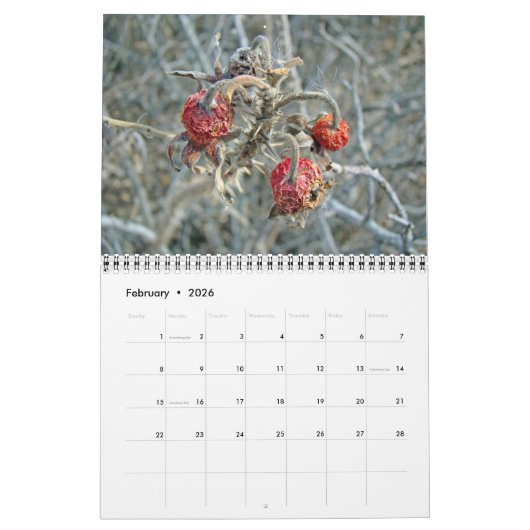 Kalender - kom naar het strand (Feb 2026)