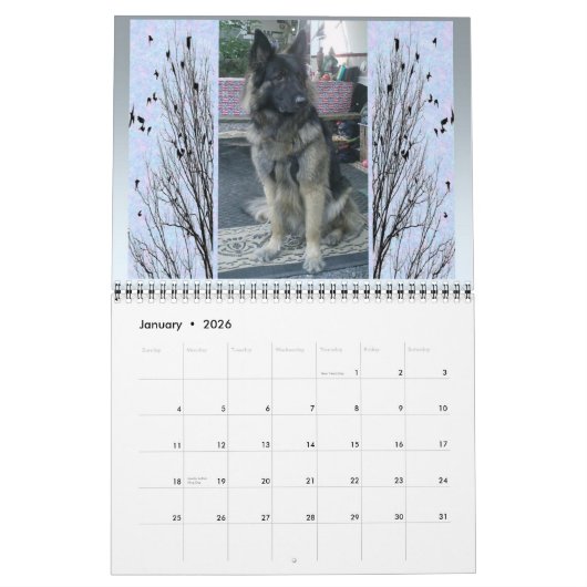 Kalender KSCI 2012 (Jan 2026)