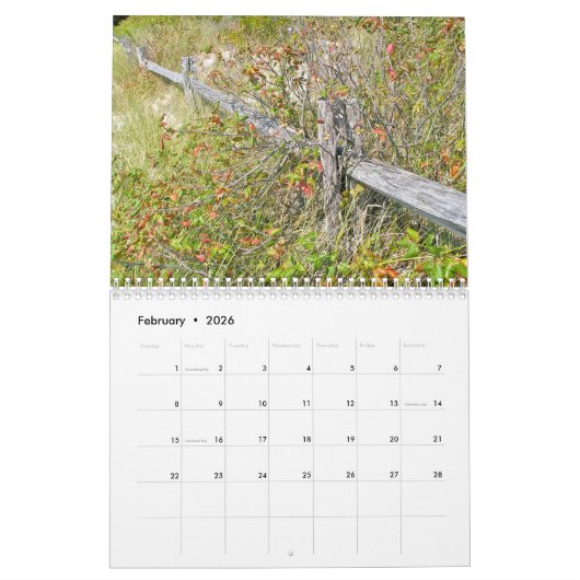 Kalender - KUSTMATIGE AFBEELDINGEN (Feb 2026)