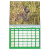 Kalender Lapin, Calendar Rabbit Hares (Mar 2026)