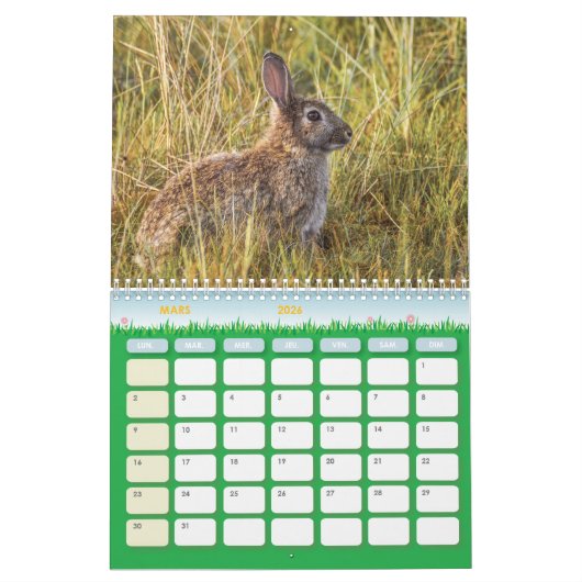 Kalender Lapin, Calendar Rabbit Hares (Mar 2026)