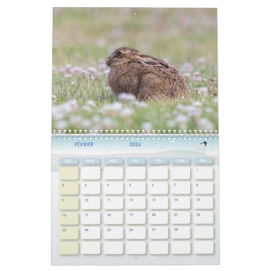 Kalender Lapin, Calendar Rabbit Hares (Feb 2026)