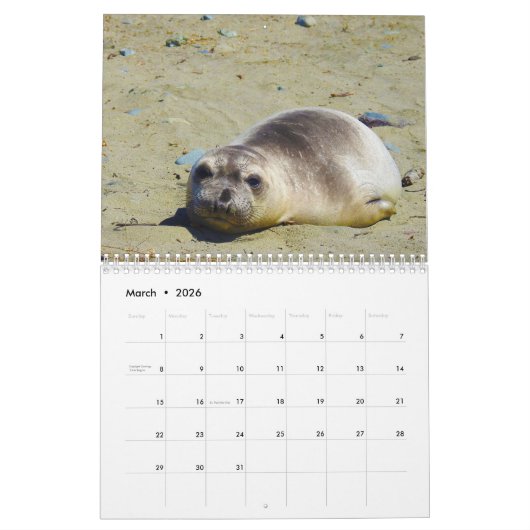 Kalender, marien leven, Californië Kalender (Mar 2026)