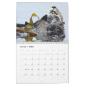 Kalender, marien leven, Californië Kalender (Jan 2026)