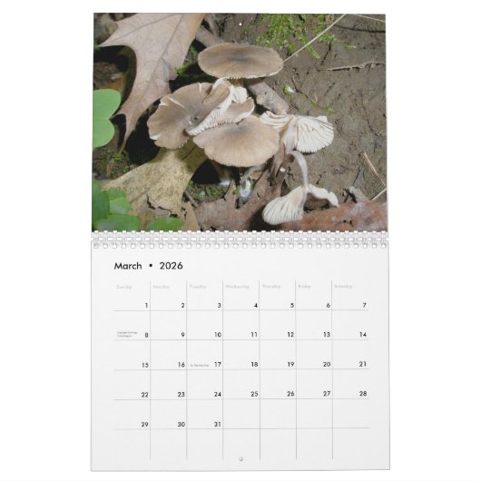 Kalender - Meer Paddenstoelen (Mar 2026)
