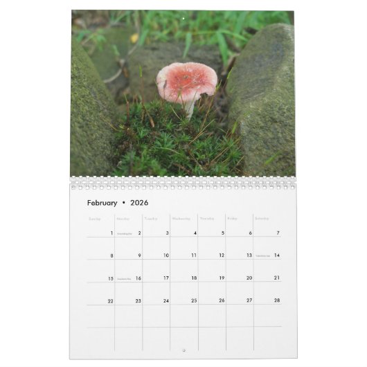 Kalender - Meer Paddenstoelen (Feb 2026)