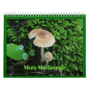 Kalender - Meer Paddenstoelen