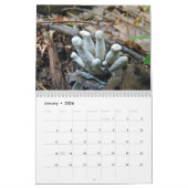 Kalender - Meer Paddenstoelen (Jan 2026)