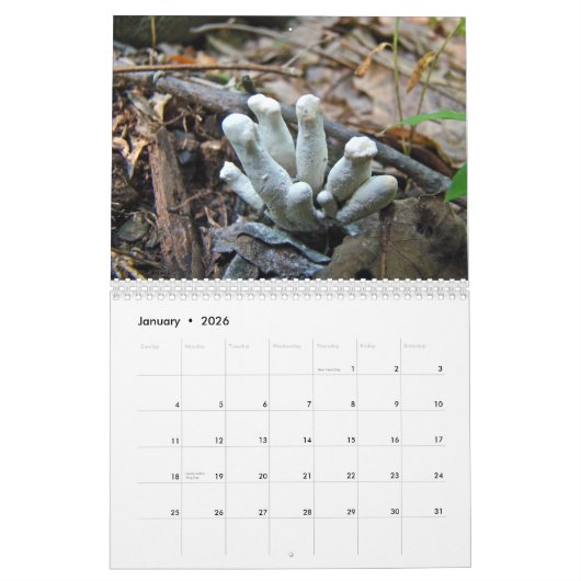 Kalender - Meer Paddenstoelen (Jan 2026)