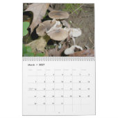 Kalender - Meer Paddenstoelen (Mar 2027)