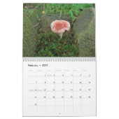 Kalender - Meer Paddenstoelen (Feb 2027)