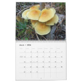 Kalender - Meer prachtige paddenstoelen #4 (Mar 2026)
