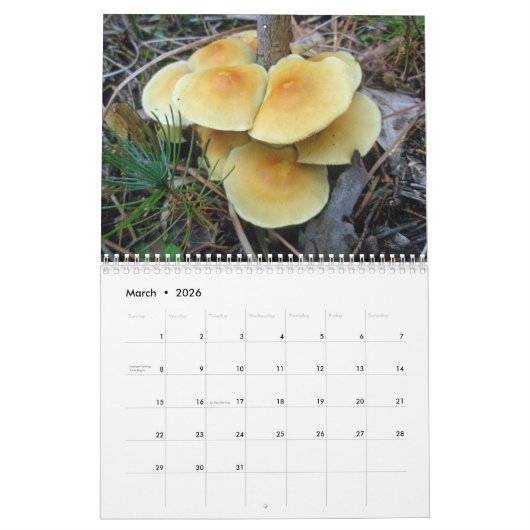 Kalender - Meer prachtige paddenstoelen #4 (Mar 2026)