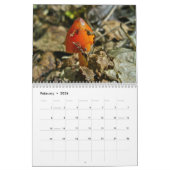 Kalender - Meer prachtige paddenstoelen #4 (Feb 2026)