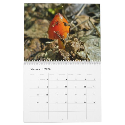 Kalender - Meer prachtige paddenstoelen #4 (Feb 2026)