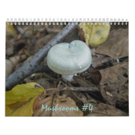 Kalender - Meer prachtige paddenstoelen #4