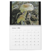 Kalender - Meer prachtige paddenstoelen #4 (Jan 2026)