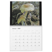 Kalender - Meer prachtige paddenstoelen #4 (Jan 2027)