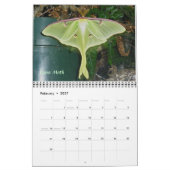 Kalender - Meer vlinders & motten (Feb 2027)