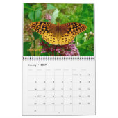 Kalender - Meer vlinders & motten (Jan 2027)