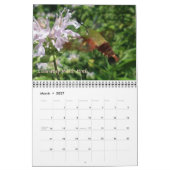 Kalender - Meer vlinders & motten (Mar 2027)