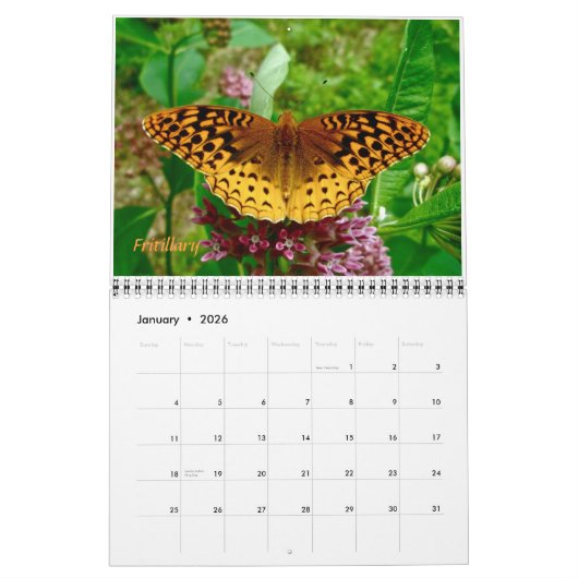 Kalender - Meer vlinders & motten (Jan 2026)