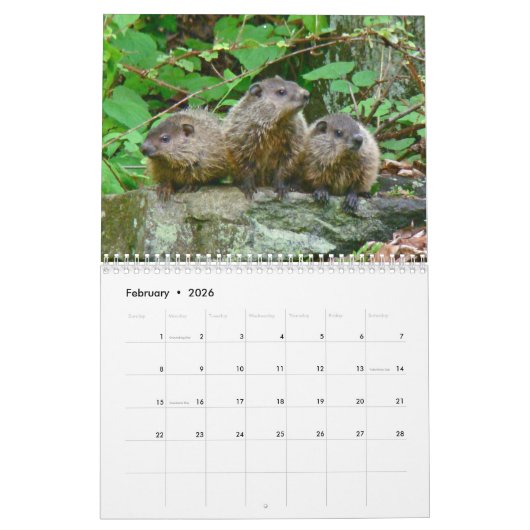 Kalender - Meestal bruin (Feb 2026)