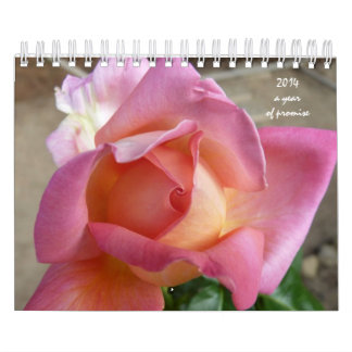 kalender met 12 stappen