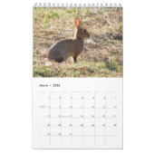 Kalender met afbeeldingen van de natuur (Mar 2026)