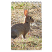 Kalender met afbeeldingen van de natuur (Hoes)