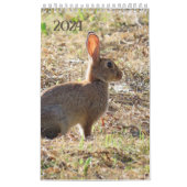 Kalender met afbeeldingen van de natuur (Hoes)