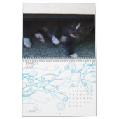 kalender met CUTE KATTEN (Mar 2027)