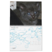 kalender met CUTE KATTEN (Feb 2026)
