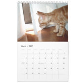 Kalender met katten - Gepersonaliseerd (Mar 2027)