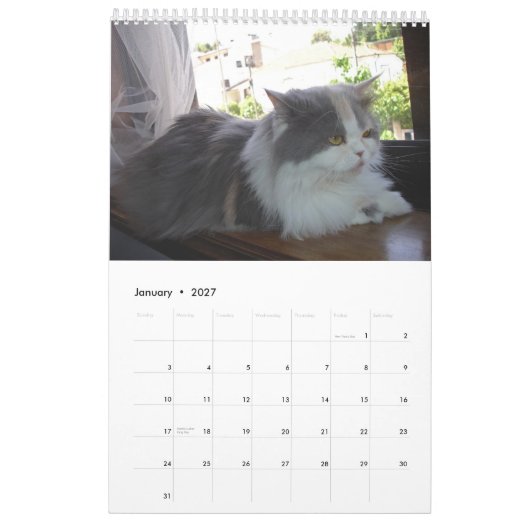 Kalender met katten - Gepersonaliseerd (Jan 2027)