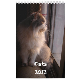 Kalender met katten - Gepersonaliseerd