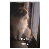Kalender met katten - Gepersonaliseerd (Hoes)