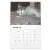 Kalender met katten - Gepersonaliseerd (Feb 2026)