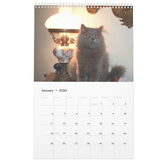 Kalender met katten - Gepersonaliseerd (Jan 2026)