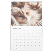 Kalender met knuffelkatten (Jan 2027)
