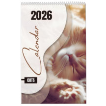 Kalender met knuffelkatten