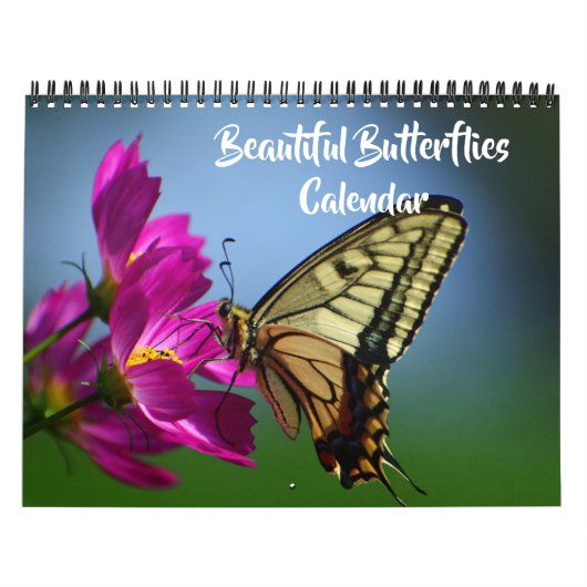 Kalender met mooie vlinders van gemiddelde grootte (Hoes)