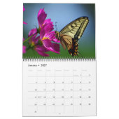 Kalender met mooie vlinders van gemiddelde grootte (Jan 2027)
