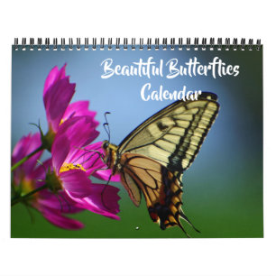 Kalender met mooie vlinders van gemiddelde grootte