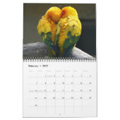 Kalender met mooie vogels van gemiddelde grootte (Feb 2027)