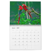 Kalender met mooie vogels van gemiddelde grootte (Mar 2027)