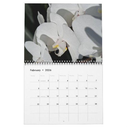 kalender met positieve vibes (Feb 2026)