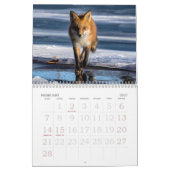 Kalender met Rode Vossen (Feb 2027)